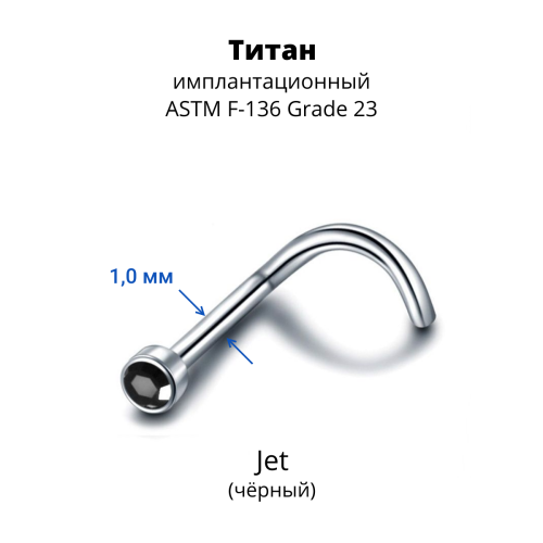 Нострила улитка. Титан, кристаллическая вставка. UNSCJ2