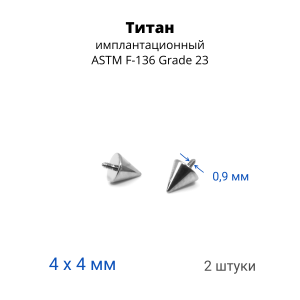 Интернал-конусы 4 мм (2 штуки) для украшений со стержнем 1,2 мм (резьба 0,9 мм). Титан. TBSI094-2