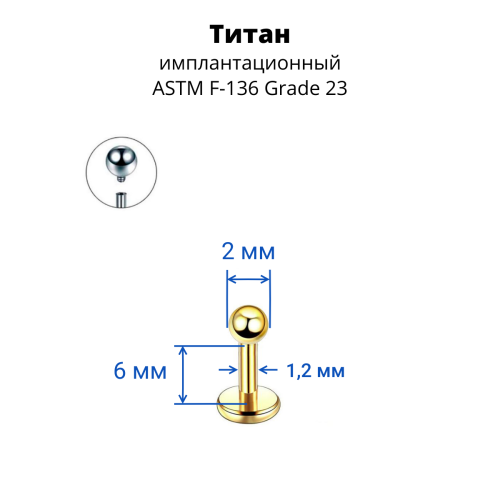 Интернал-лабрета 1,2 мм. Титан, золотое анодирование. ILBBT16G