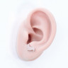 Серьги-гвоздики. Корги. SE3007-2