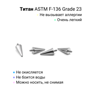 Интернал-конусы 3 х 6 мм (4 штуки) для украшений со стержнем 1,2 мм (резьба 0,9 мм). Титан. TBSI0936-4