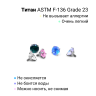 Накрутка интернал c круглым цирконом (резьба 0,9 мм).Титан. TBSIJ3410 Накрутка интернал c круглым цирконом (резьба 0,9 мм).Титан. TBSIJ3410