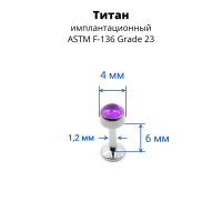 Интернал-лабрета 1,2 мм. Титан, вставка - аметист 4 мм. LBICST0712