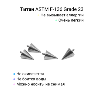 Интернал-конус 4 х 6 мм для украшений со стержнем 1,2 мм (резьба 0,9 мм). Титан. TBSI0946