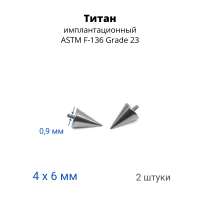 Интернал-конусы 4 х 6 мм (2 штуки) для украшений со стержнем 1,2 мм (резьба 0,9 мм). Титан. TBSI0946-2