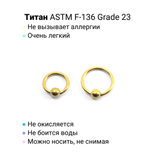 Кольцо 1,0 мм. Титан, золотое анодирование. BCRTi18G